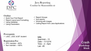 Java Reporting
